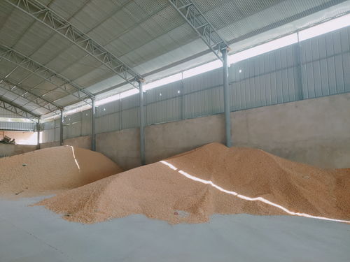 中國銀行甘肅省分行 精準服務涉農企業(yè)發(fā)展 高效助力 和美鄉(xiāng)村 創(chuàng)建