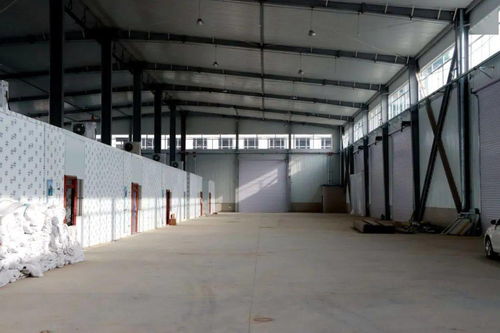 嗨購(gòu)新年 會(huì)寧朝陽(yáng)農(nóng)產(chǎn)品交易中心將于元旦盛大開(kāi)業(yè)